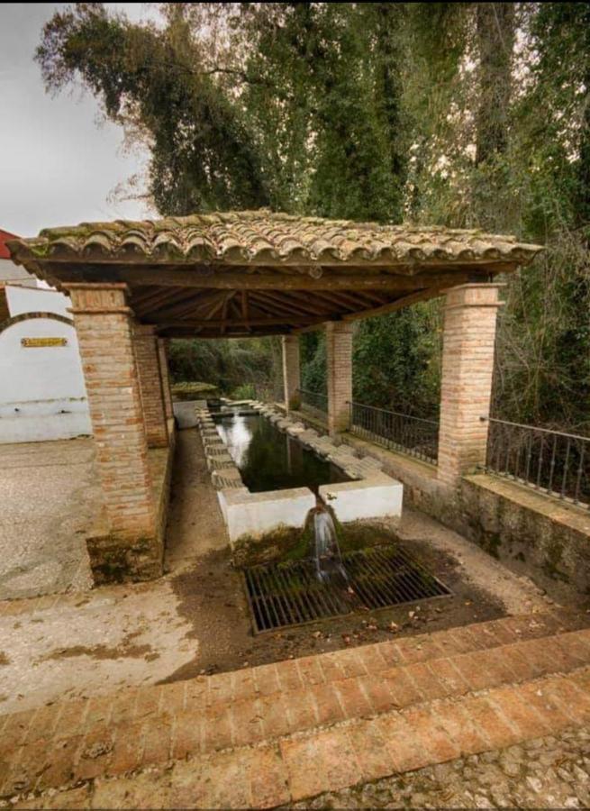 Tio Tesoro Villa Los Romeros Luaran gambar